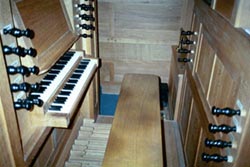 The Organ